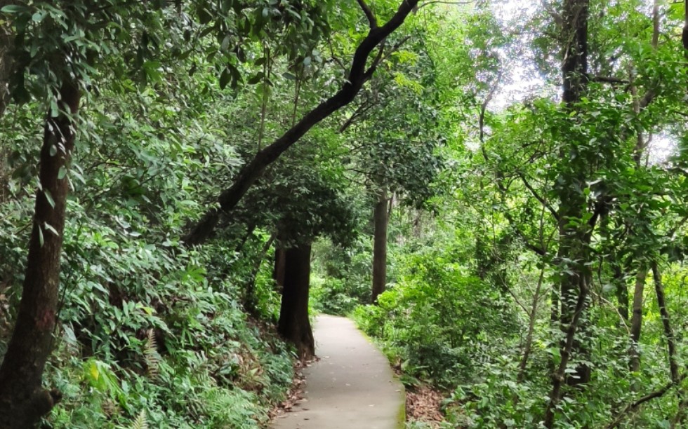 [图]雨中徒步白云山