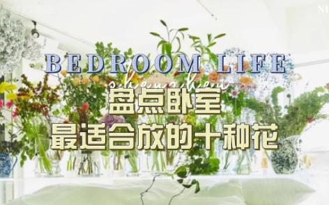 盘点!!!卧室最适合放的十种花哔哩哔哩bilibili