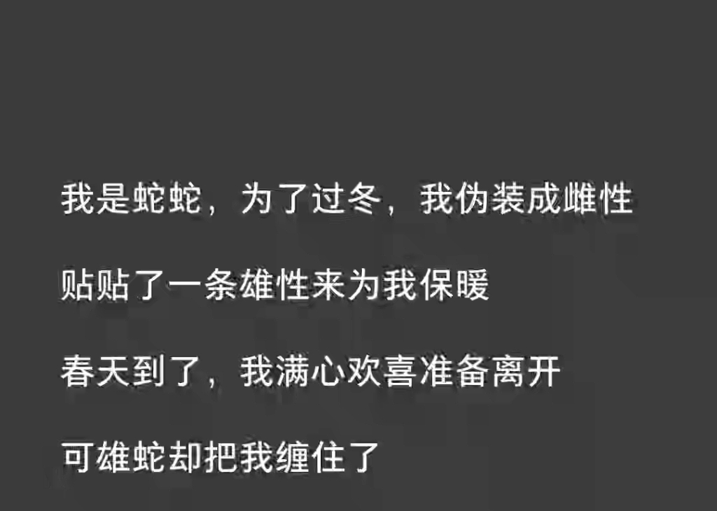 『耽美』我是一条蛇,为了过冬,我伪装成雌性,贴贴了一条雄性为我保暖『化形贴贴』哔哩哔哩bilibili