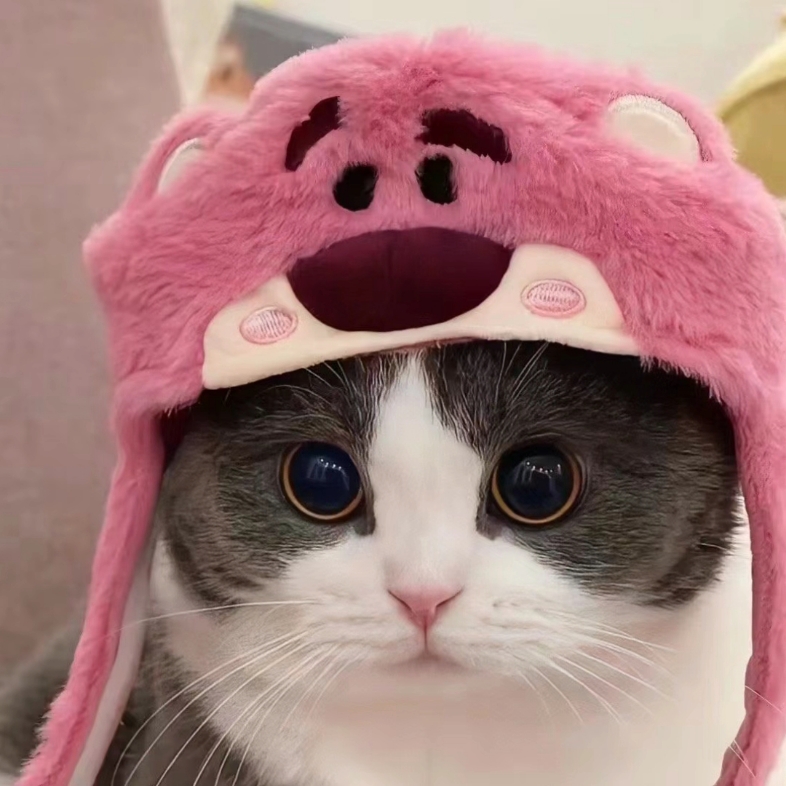 可爱猫猫头,谁不爱呢?
