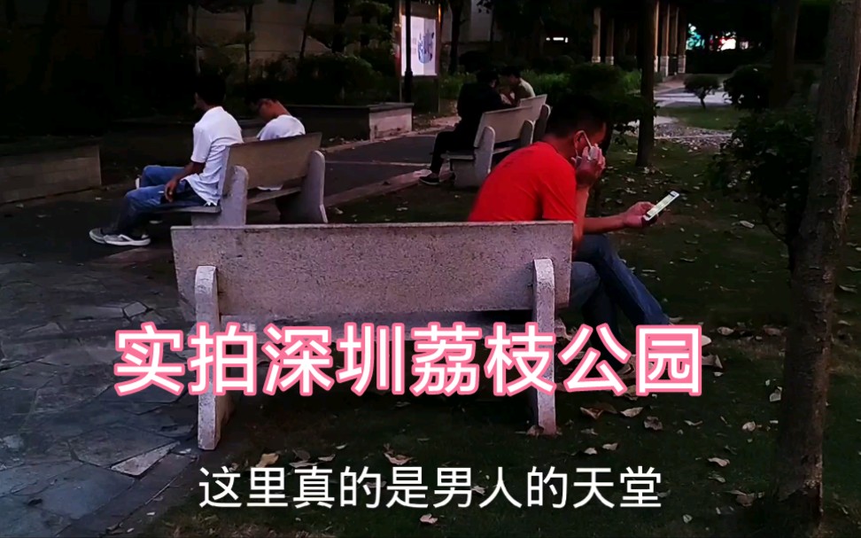 实拍深圳荔枝公园，听说这里是基友约会的地方