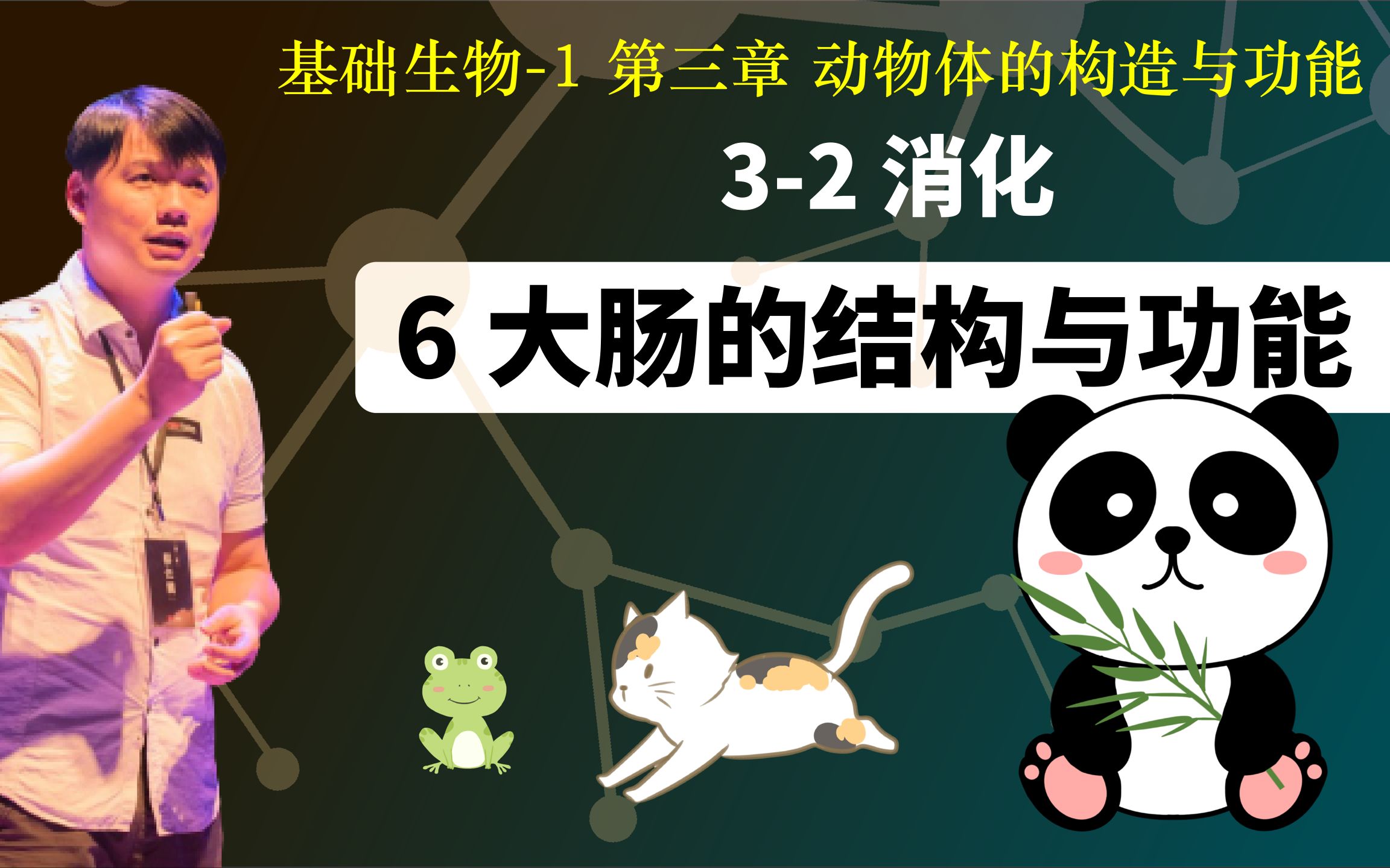 基础生物学32.6 大肠的结构与功能哔哩哔哩bilibili