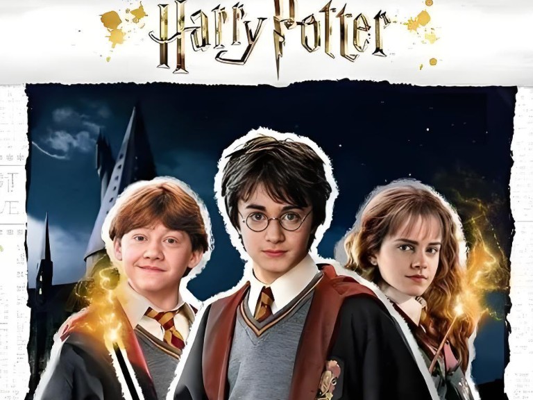 哈利罗恩赫敏需通过魔鬼网才能达到下一关