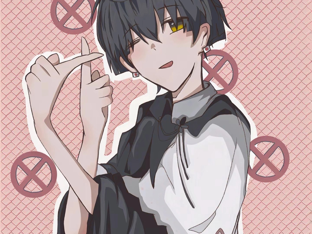 【aph/本田菊】"打咩"