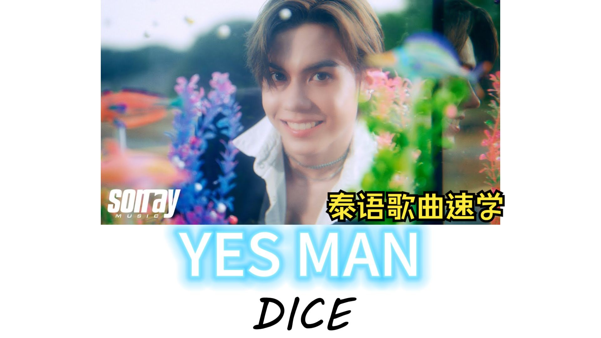 【DICE】Yes Man|泰语歌曲速学|泰语+音译+逐词+翻译|泰国男团哔哩哔哩bilibili