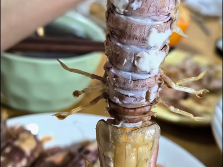 白灼皮皮虾,夏天吃很清爽