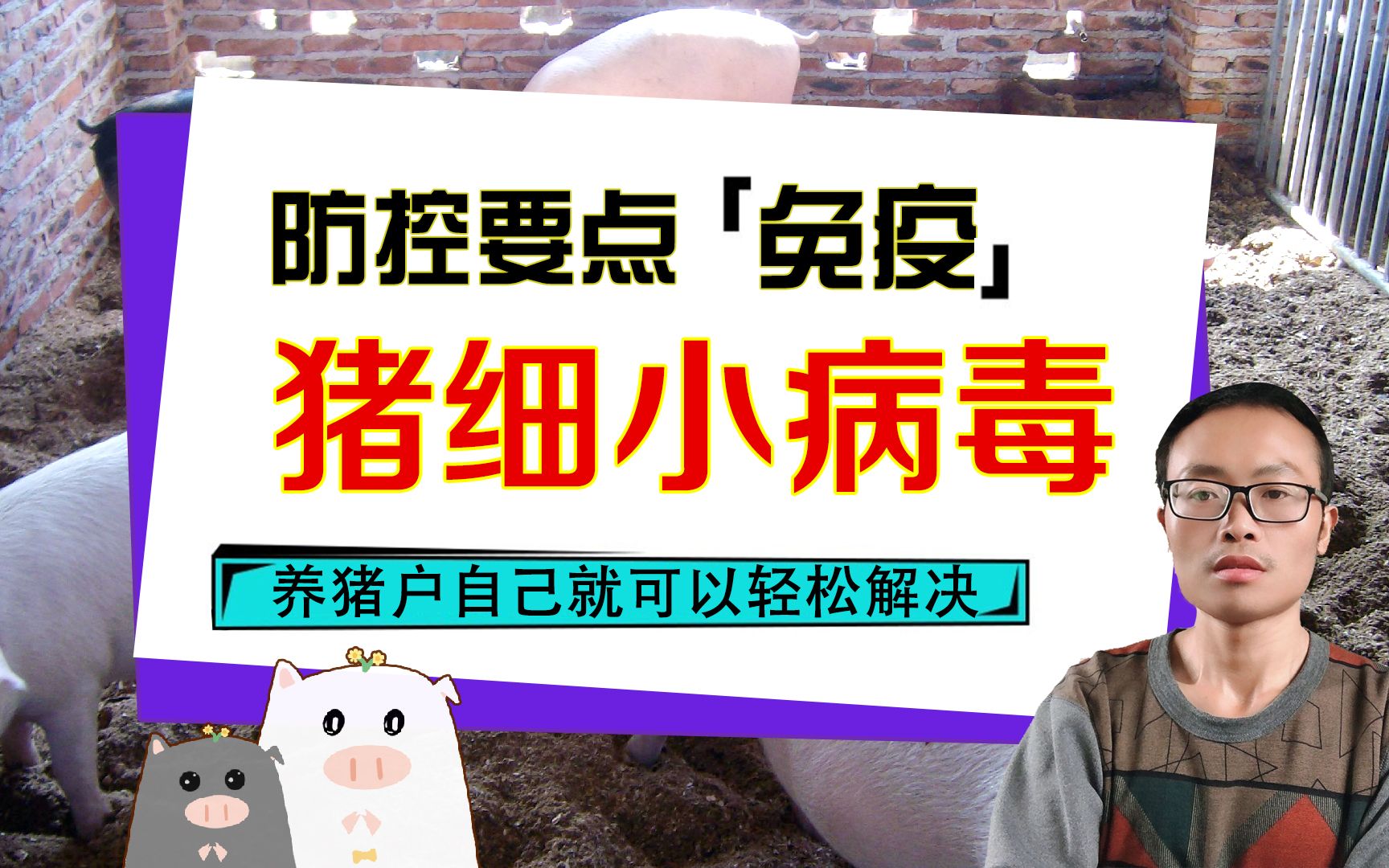 猪细小病毒正确免疫出炉了,用以下防控方法,养猪户就能轻松解决哔哩哔哩bilibili