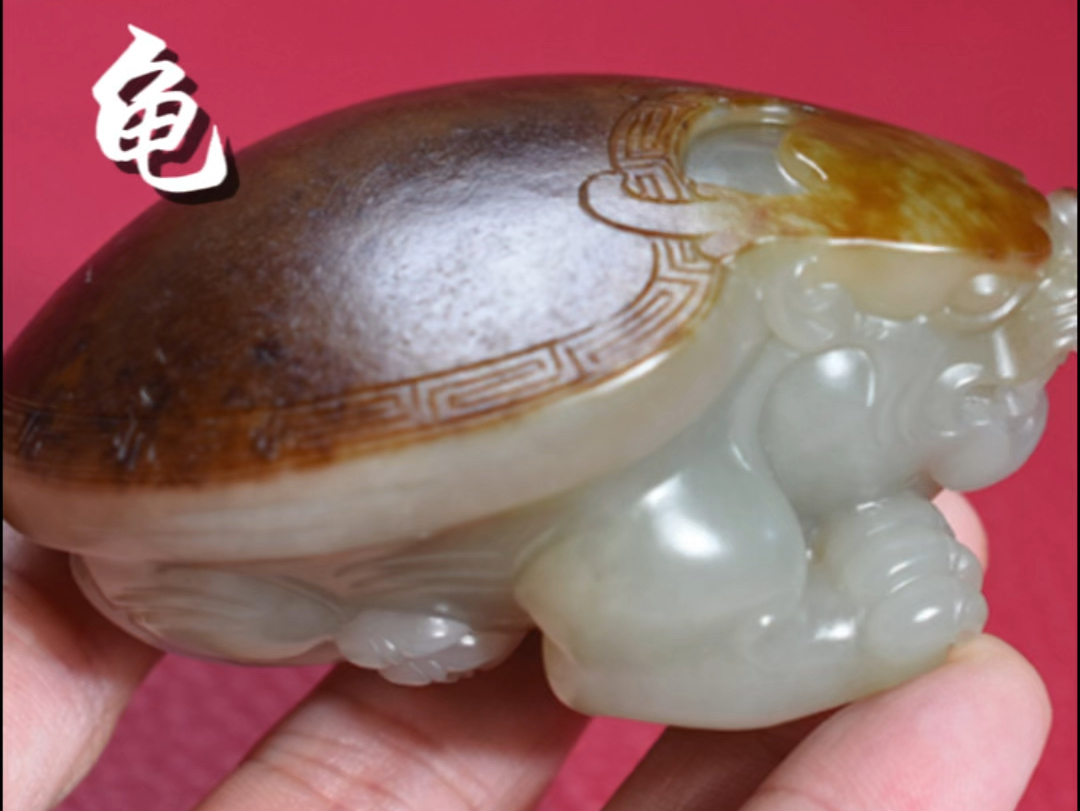 新疆和田玉籽料龙龟手把件 #籽料饱满圆背龙龟,天