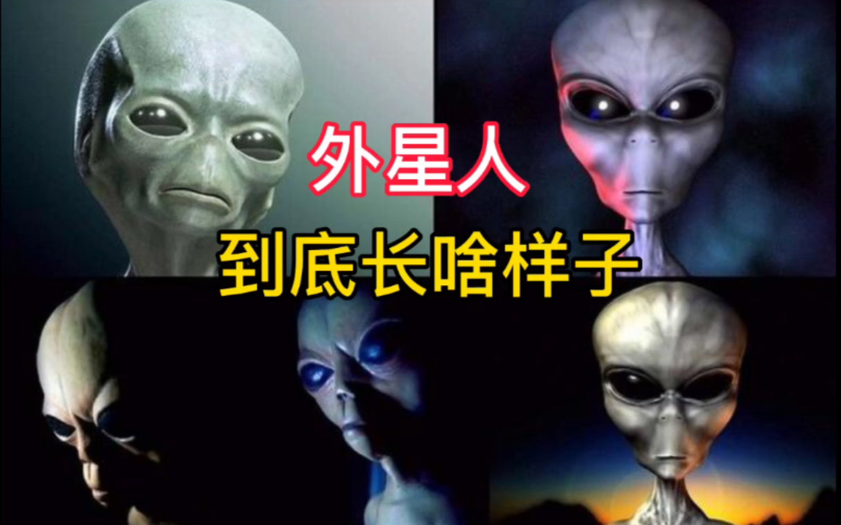 外星人究竟长什么样子?牛津教授给出答案,难怪我们一直找不到哔哩哔哩bilibili