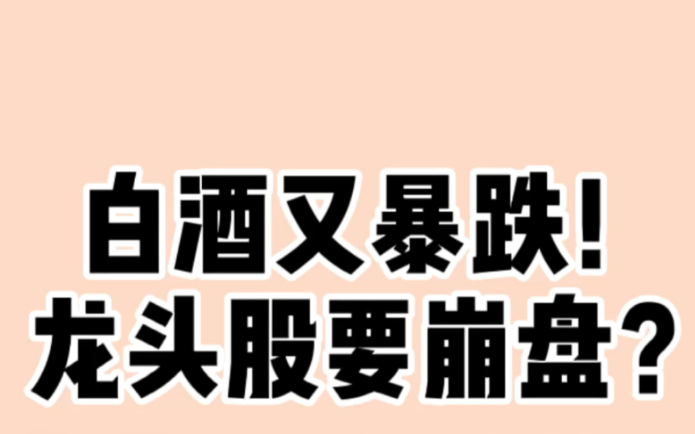 白酒又暴跌|龙头股要崩盘?|美股漂亮50历史重演?哔哩哔哩bilibili