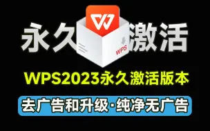 Télécharger la video: 趁没失效，赶紧激活！WPS2023专业增强永久激活版，内置永久序列码，内置VBA去除广告和升级