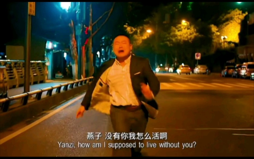 燕子,没有你我怎么活啊!燕子!