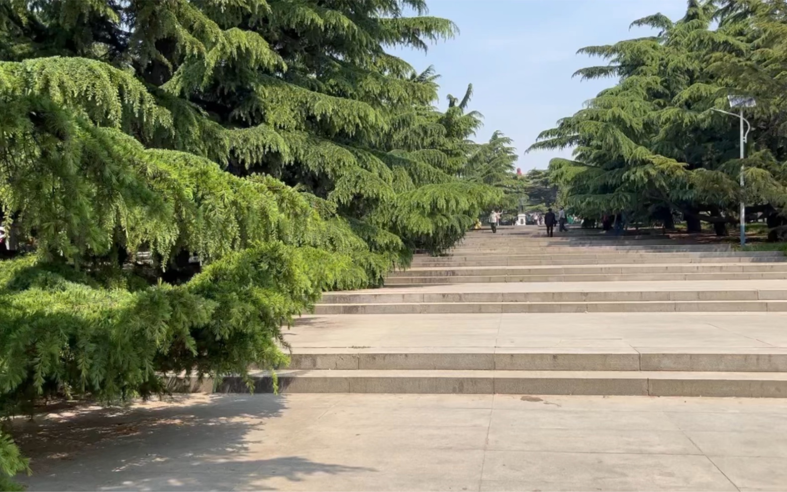 今天去大連中山公園影響心情群魔亂舞怱忽離開