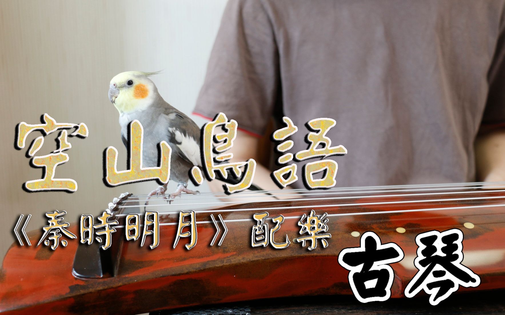 【古琴】空山鸟语 -《秦时明月》配乐 纯古琴片段