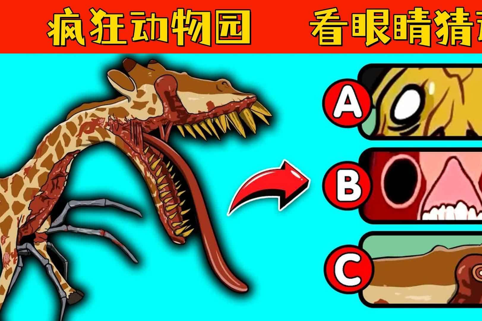 疯狂动物园:看眼睛猜动物,哪些动物的眼睛是白色的?游戏解说