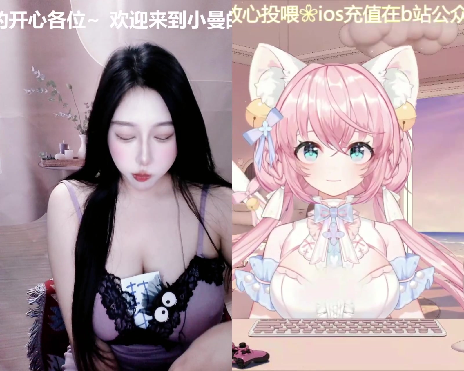 20241104困哔哩哔哩bilibili