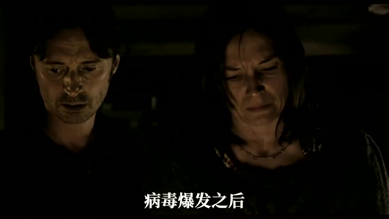 震撼人心的丧尸灾难电影《惊变28周》
