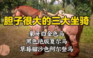 Download Video: 给各位推荐三匹比阿拉伯马胆子大上万倍的极品坐骑，每一匹都是高头大马、身材魁梧壮硕，再也不怕被自己的马儿扔给食肉动物当晚餐了。【荒野大镖客2】