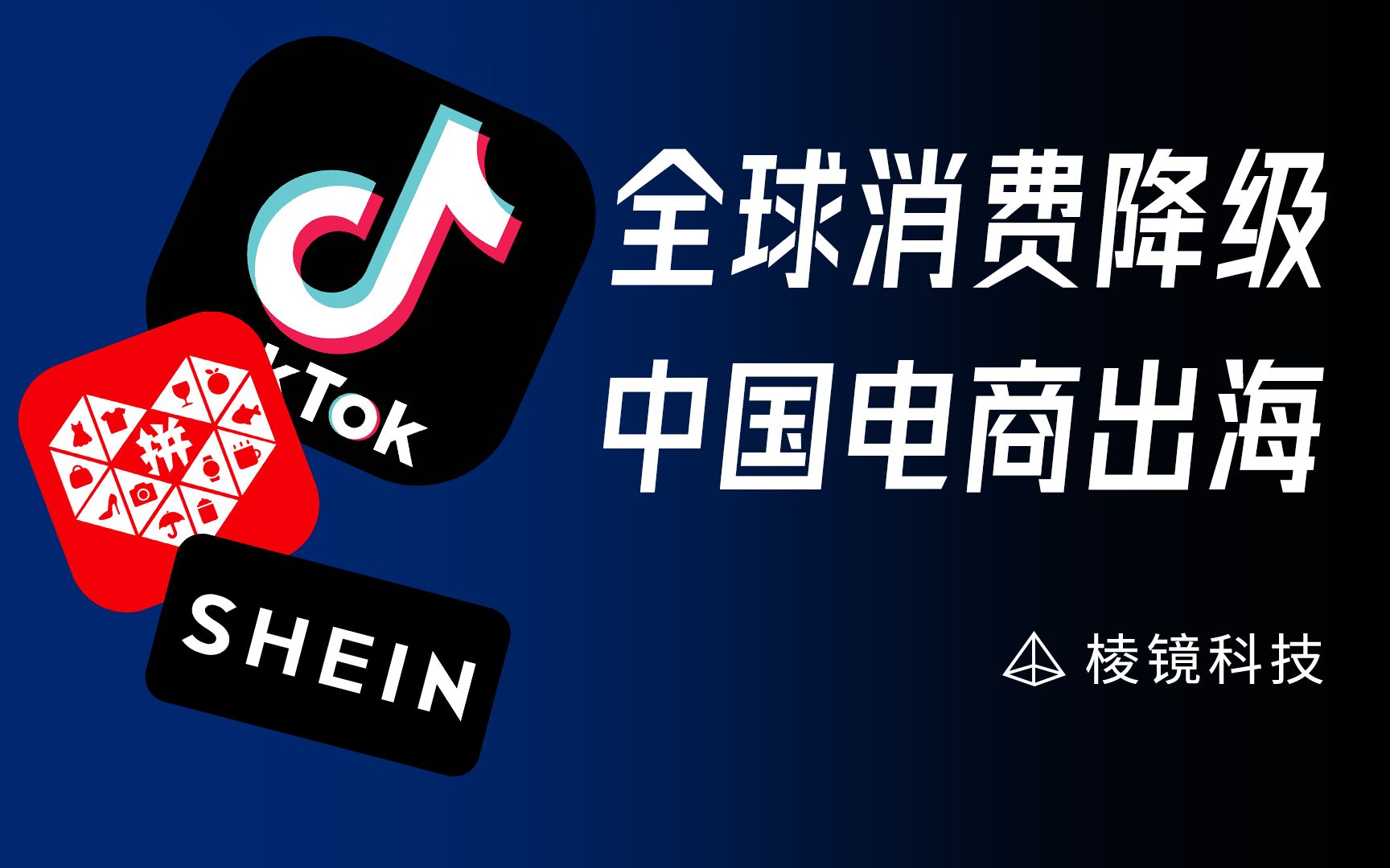 国内砍亿刀,海外就一刀?中国电商玩法在海外吃的开吗?【棱镜科技】哔哩哔哩bilibili
