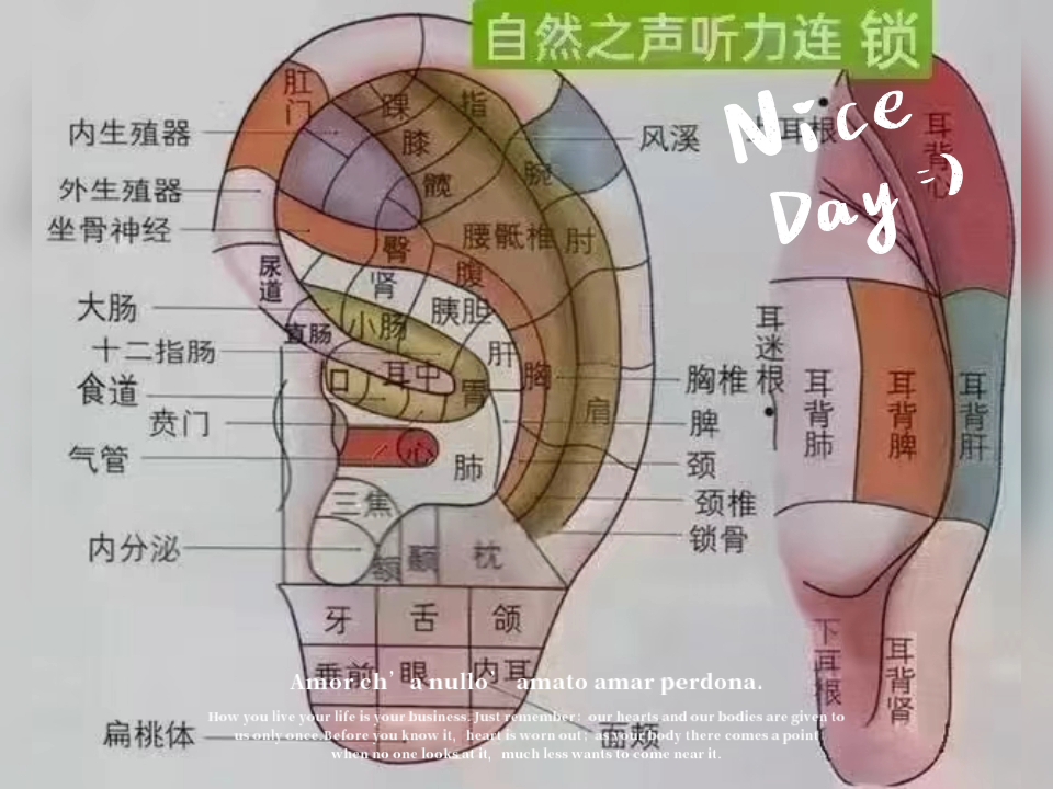 自然之声助听器哔哩哔哩bilibili