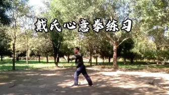 Download Video: 丝滑，这小子下苦功了，弟子韩旭打的几把拳