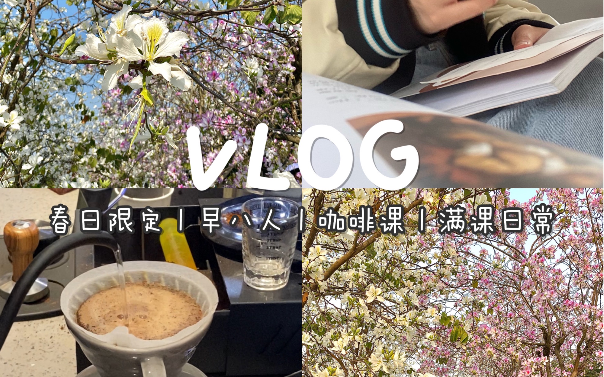 顺职VLOG|早八人满课的一天|手冲咖啡|春日限定哔哩哔哩bilibili