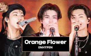 Descargar video: 【ENHYPEN】Orange Flower金唱片橙花乐队版舞台！