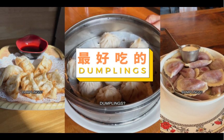 哪国的dumpling最好吃?哔哩哔哩bilibili