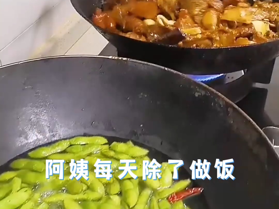 广州煮饭阿姨钟点工价格哔哩哔哩bilibili