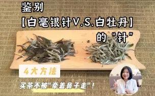 Video herunterladen: 【一眼区分❗】白毫银针和白牡丹“芽头”大不同，4个方法教你鉴别