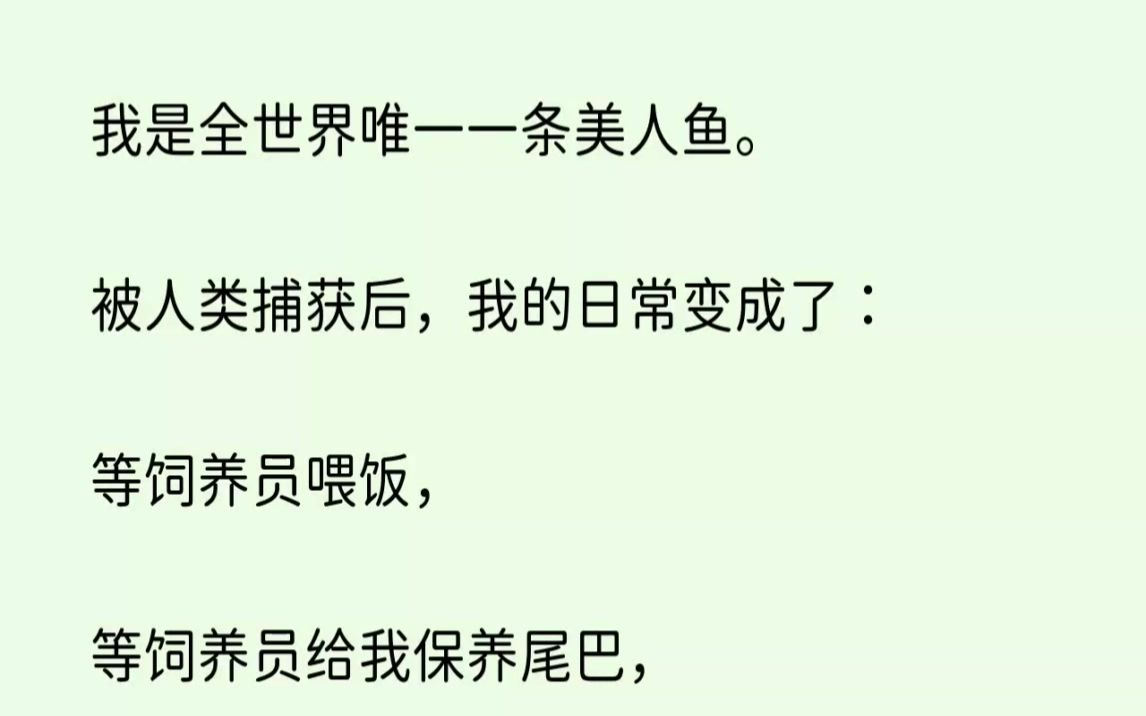 【完结文】我是全世界唯一一条美人鱼.被人类捕获后,我的日常变成了等饲养员喂饭,...哔哩哔哩bilibili