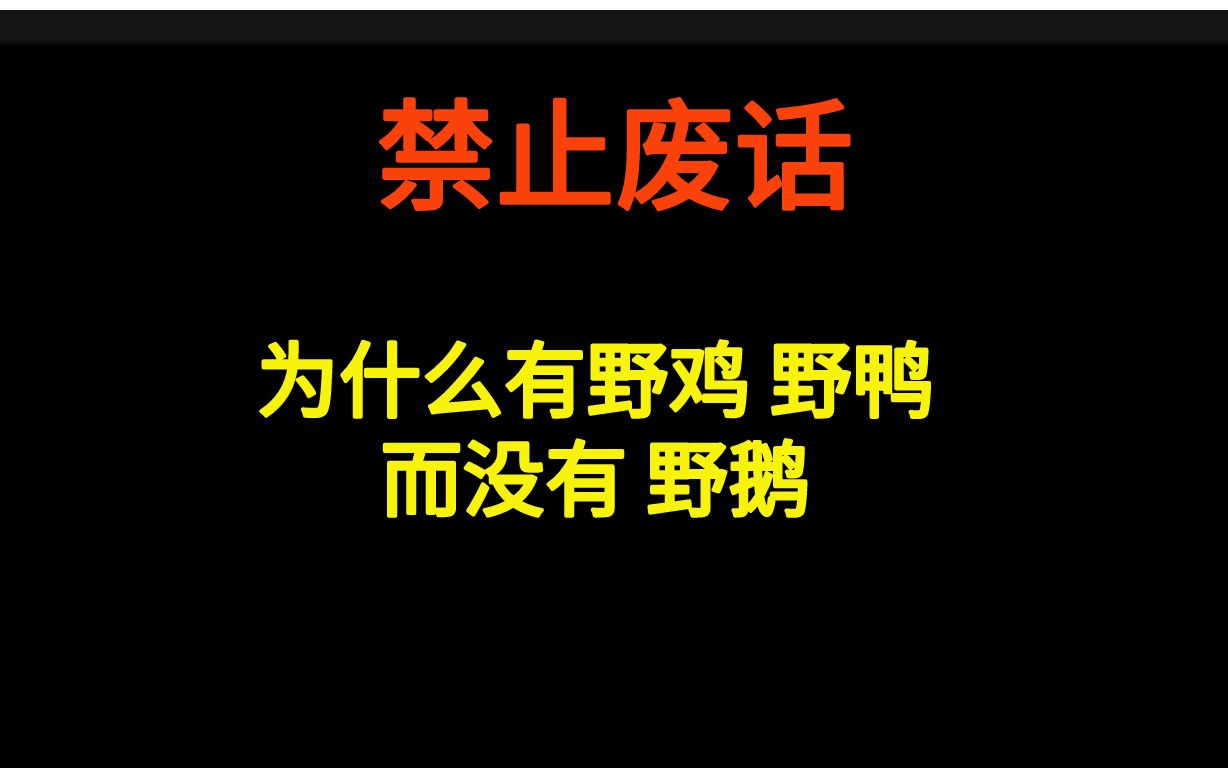 为什么有野鸡、野鸭,而没有野鹅哔哩哔哩bilibili