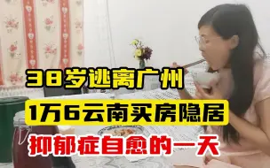 Descargar video: 38岁逃离广州，1万6云南买房隐居，抑郁症自愈的一天