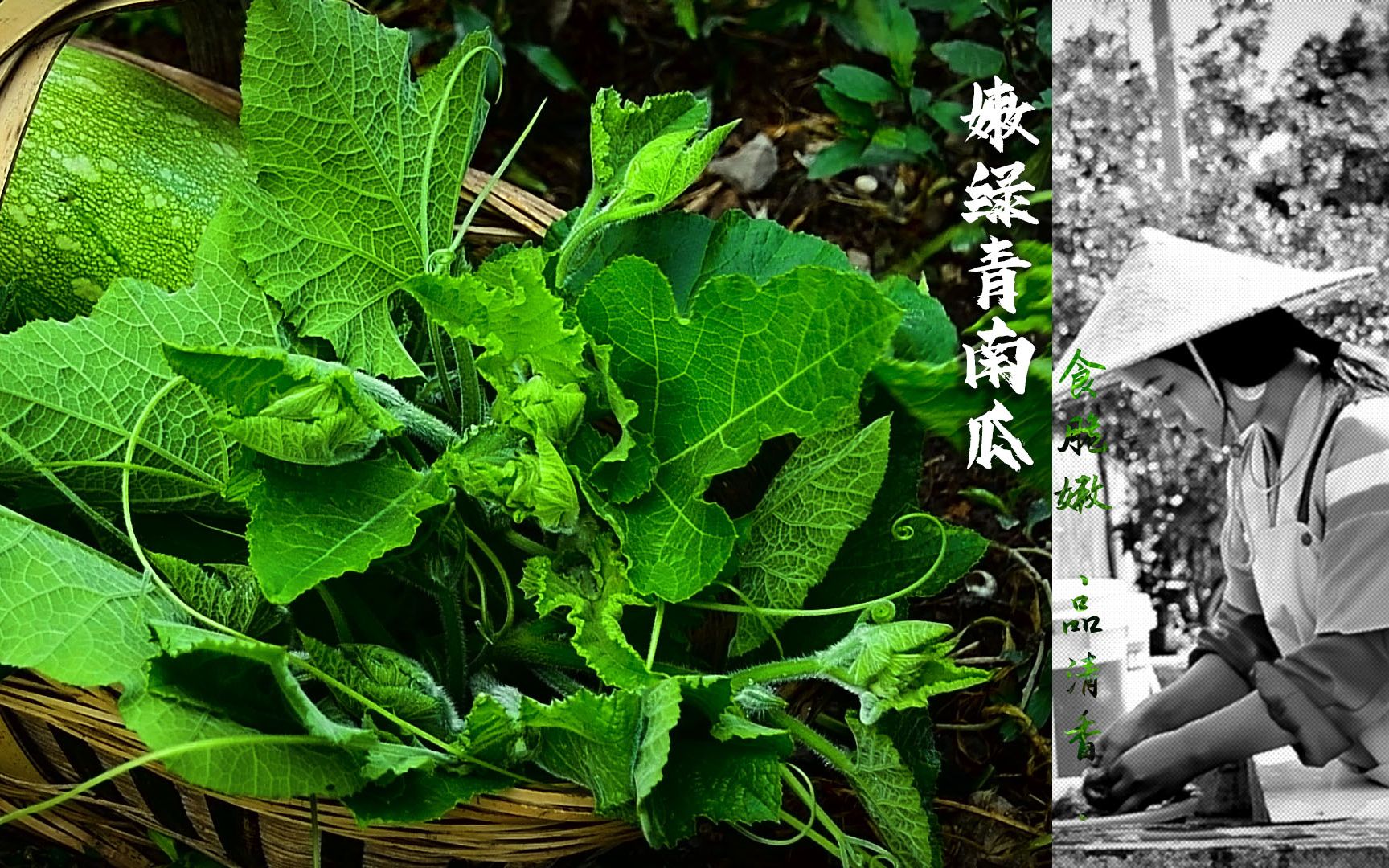 食脆嫩,品清香,品味最真实的嫩绿青南瓜.