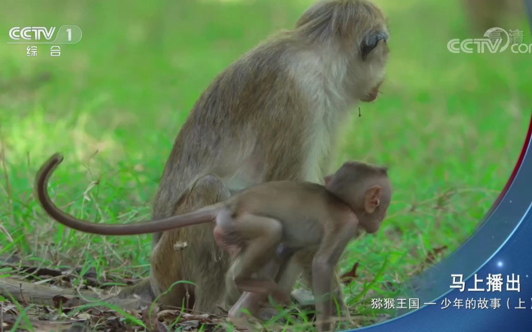 [图]人与自然(CCTV)–自然风光–大自然的美景