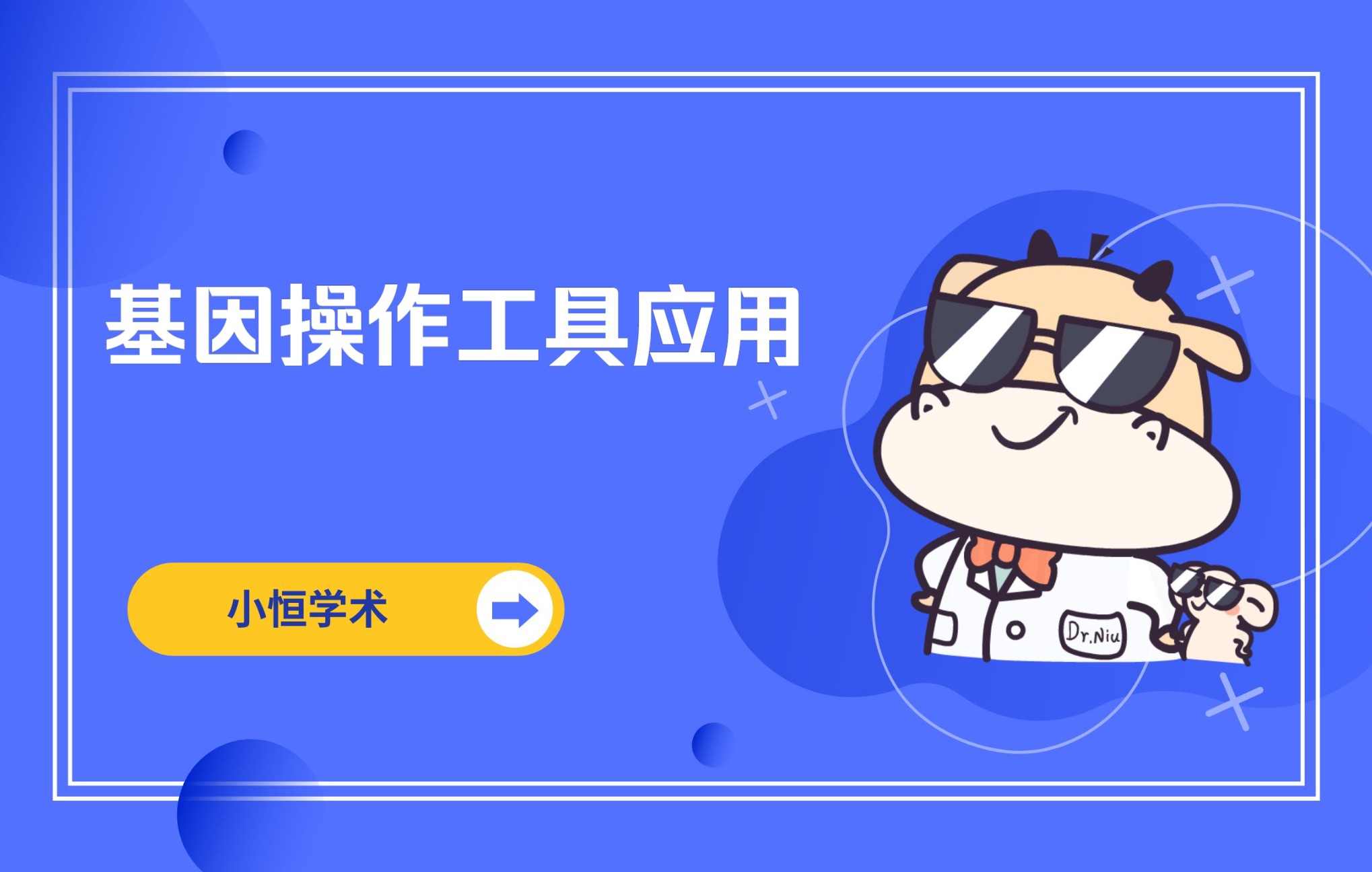 基因操作工具应用哔哩哔哩bilibili