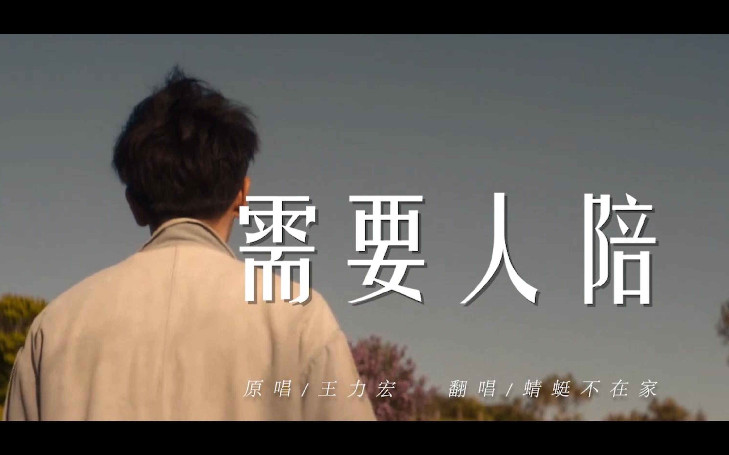 治愈男翻.王力宏-《需要人陪》 蜻蜓不在家
