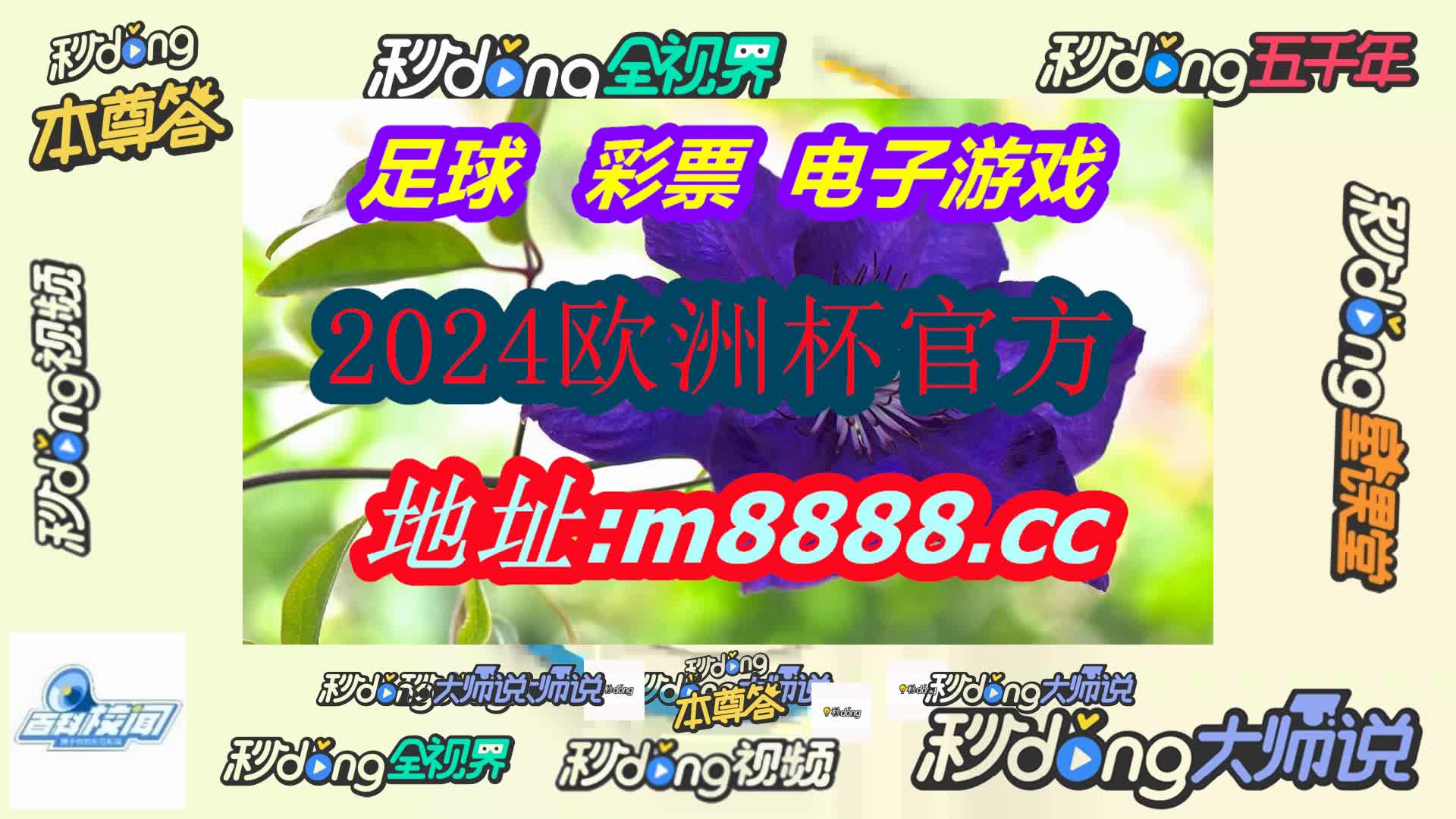 天天赢球比分500(哔哩哔哩)496期