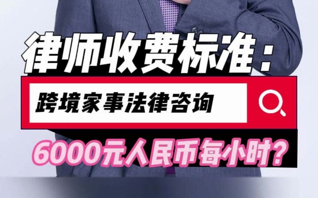 律师收费标准6000元人民币每小时?哔哩哔哩bilibili