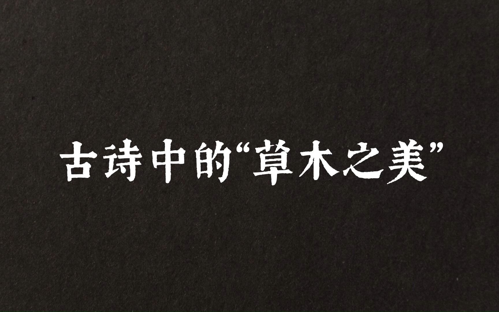 “流星透疏木,走月逆行云.”古诗中的“草木之美”哔哩哔哩bilibili