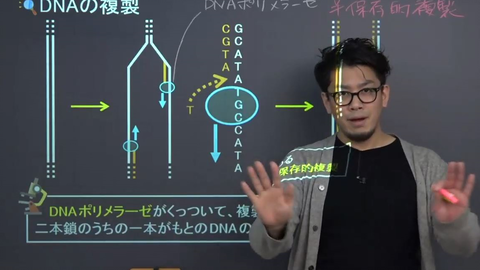 日本中学生物 Dna的复制 细胞分裂 细胞周期 哔哩哔哩 Bilibili