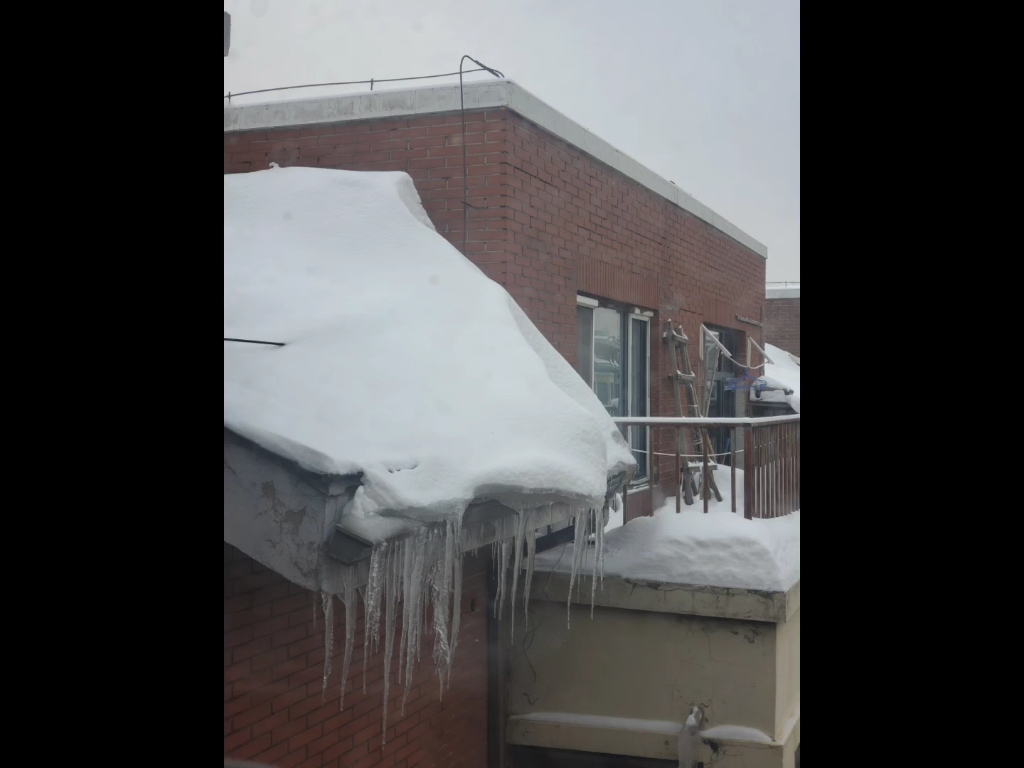 哈尔滨的积雪量(降雪量)