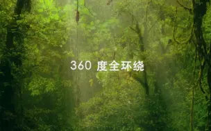 Download Video: 【华为｜杜比全景声】杜比全景音效展示片，声临其境的体验