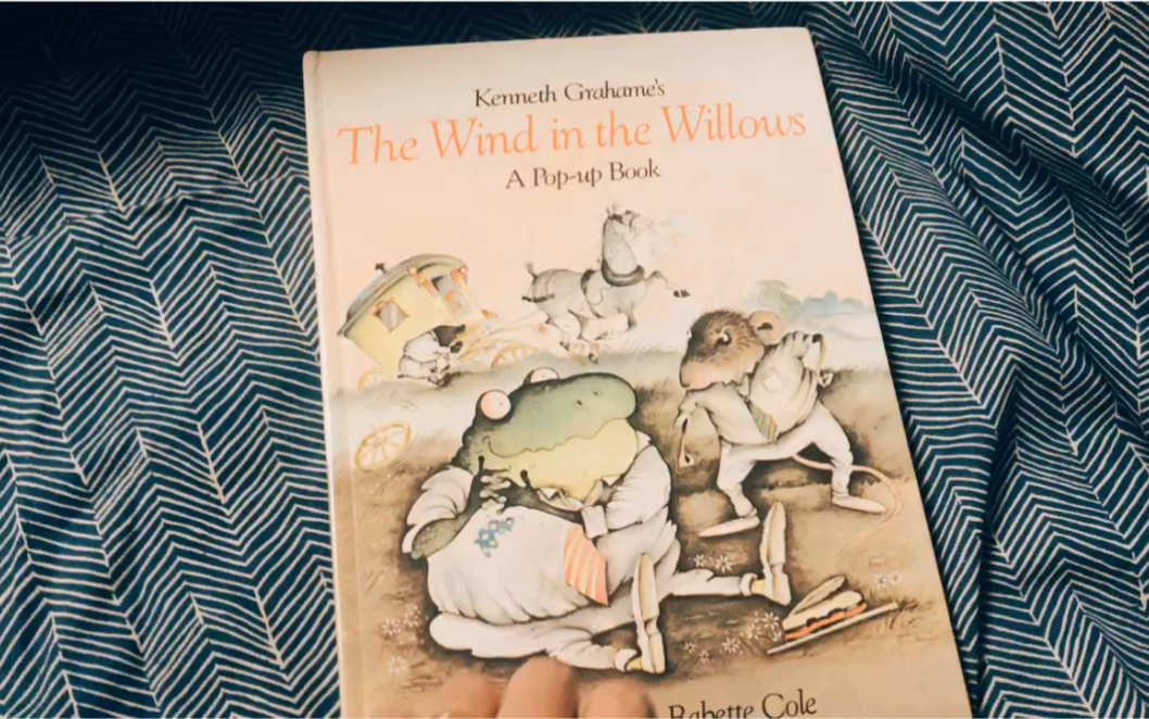 [图]【立体书】柳林风声The Wind in the Willows