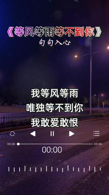 等风等雨等不到你 歌词句句入心  梦儿音乐