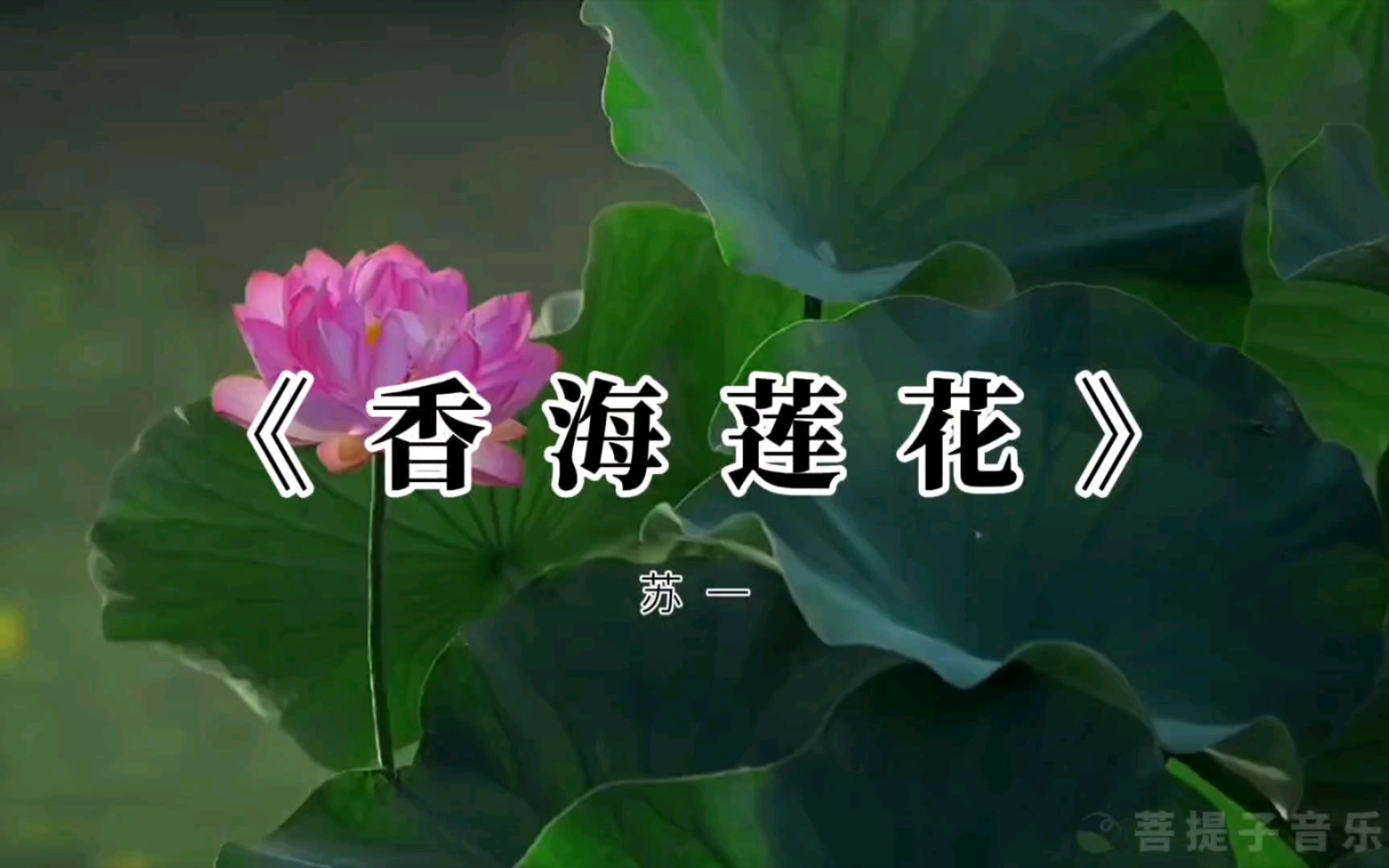 听一曲禅音,守一方心灵净土.《香海莲花》哔哩哔哩bilibili