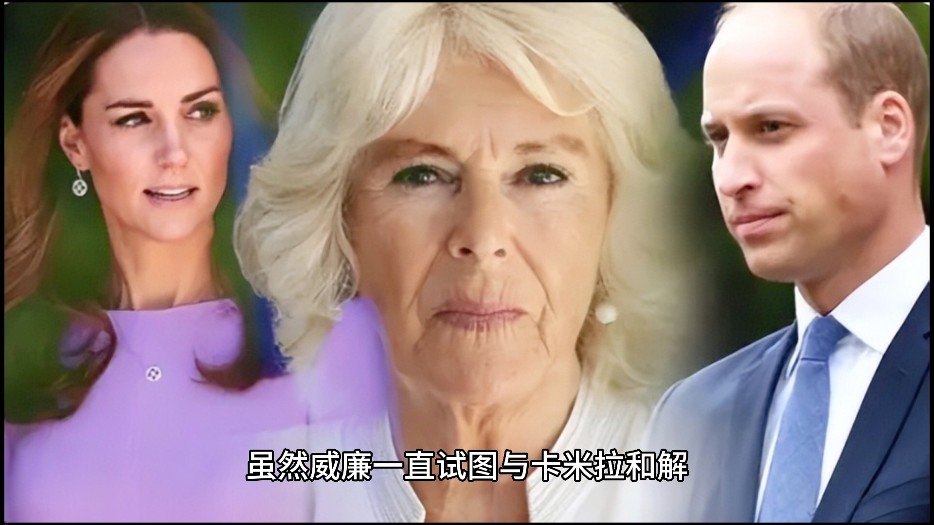 私生子曝光?卡米拉真是老谋深算,威廉王子不再是王位第一继承人?哔哩哔哩bilibili