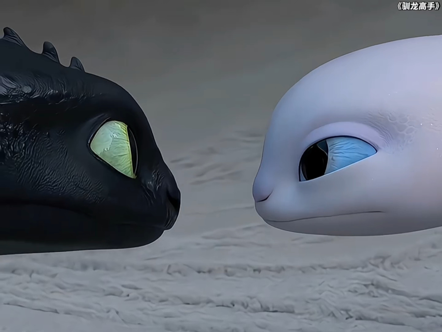 无牙仔与光煞太磕了吧