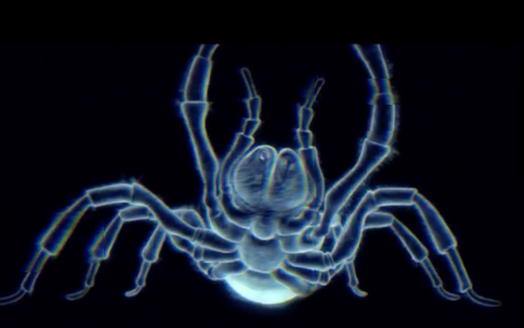 水花三弄瞎剪的昆虫生死斗