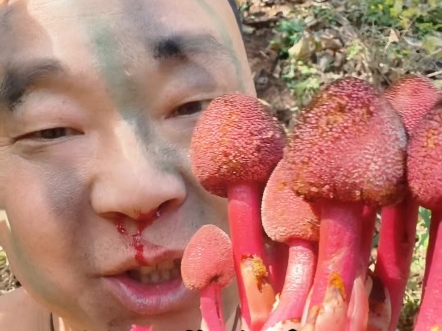 小哥带你荒野嘎嘎吃，荒野生存也没难度么